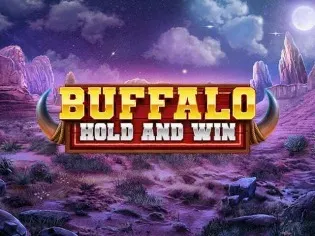 Buffalo Hold and Win game cover