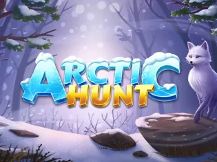 Arctic Hunt game cover